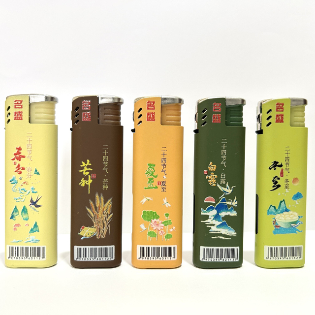 Modern Portable Disposable Electronic Lighter Custom Refillable Butane Plastic Lighters